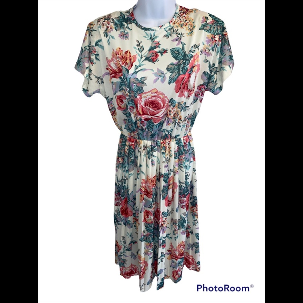 π2x HOST PICK πBlair Vintage Rose Dress - Picture 1 of 9